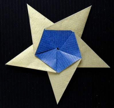 Origami Stern Von Macchi
